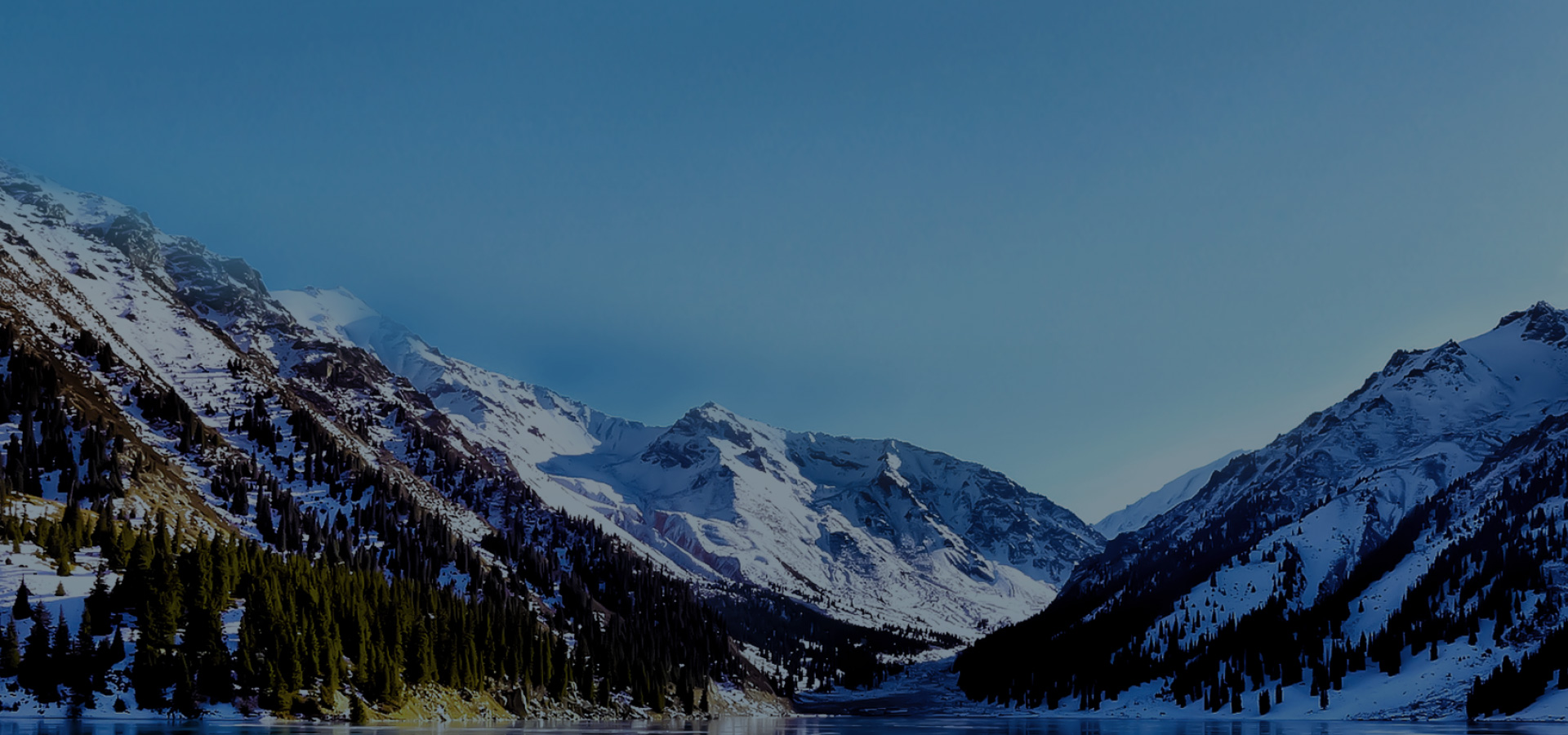 Winxiangli Marketing company provide marketing automation services, so that your business performance soars