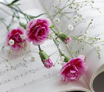 全國(guó)大型鮮花店信息集