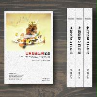 山東投資企業(yè)精準名錄